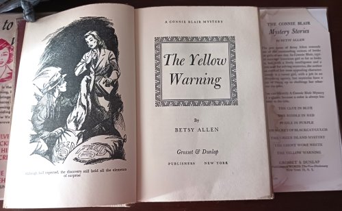 Image for The Yellow Warning (A Connie Blair Mystery) The Yellow Warning (A Connie Blair Mystery)