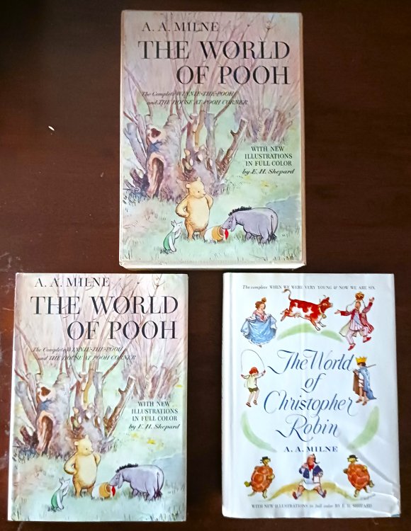 The World of Pooh & The World of Christopher Robin (Boxed Set)