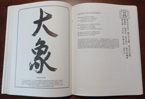 The Tao of Power: Lao Tzu's Classic Guide to Leadership, Influence, and Excellence [A new translation of the Tao Te Ching]