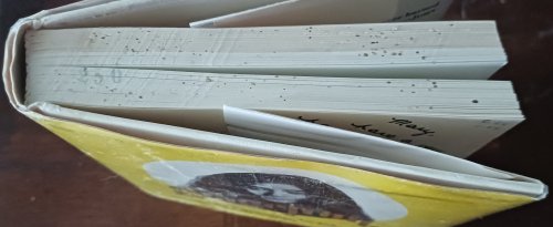 Image for Grapefruit Grapefruit