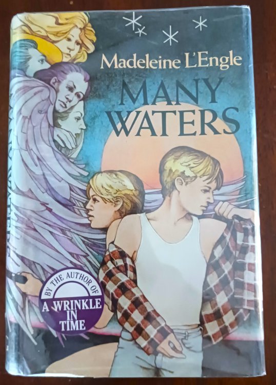 Image for Many Waters Many Waters