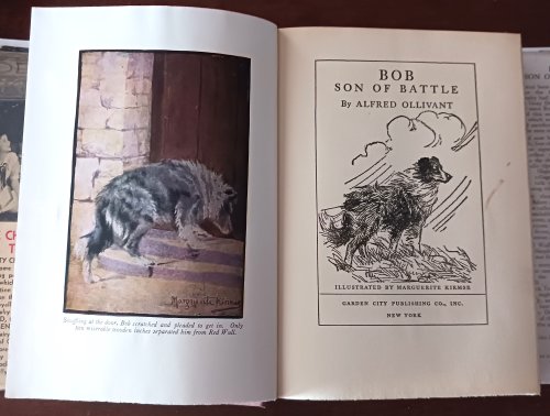 Image for Bob, Son of Battle Bob, Son of Battle