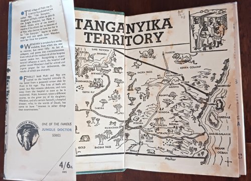 Jungle Doctor Stings a Scorpion (Jungle Doctor series)