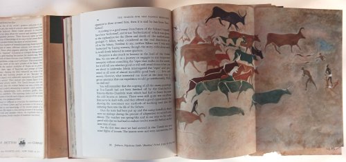 The Search for the Tassili Frescoes: The Rock Paintings of the Sahara