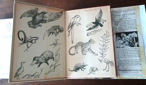 Tom Stetson and the Giant Jungle Ants (Tom Stetson series)