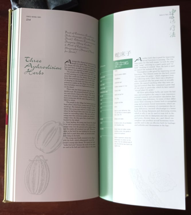Chinese Natural Cures: Traditional Methods for Remedies and Prevention