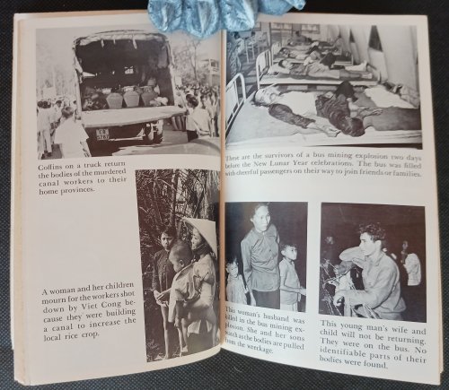 Terror in Viet Nam