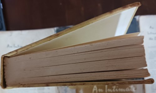 An Intimate Journal of the Dreyfus Case