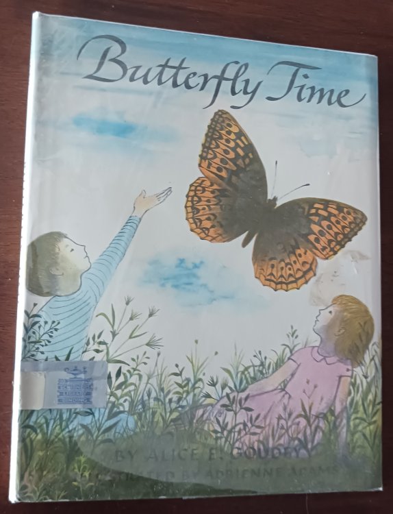 Image for Butterfly Time Butterfly Time