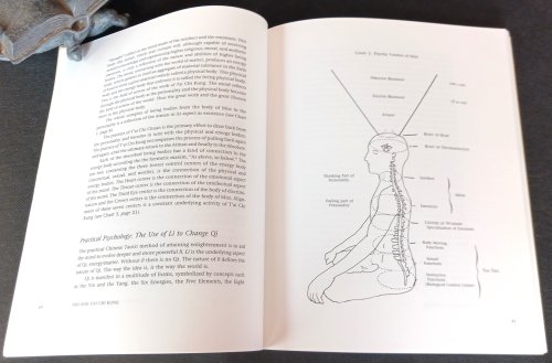 Image for Tao and T'ai Chi Kung Tao and T'ai Chi Kung