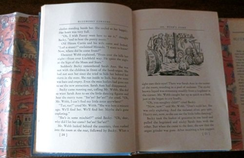 Image for Blueberry Corners Blueberry Corners