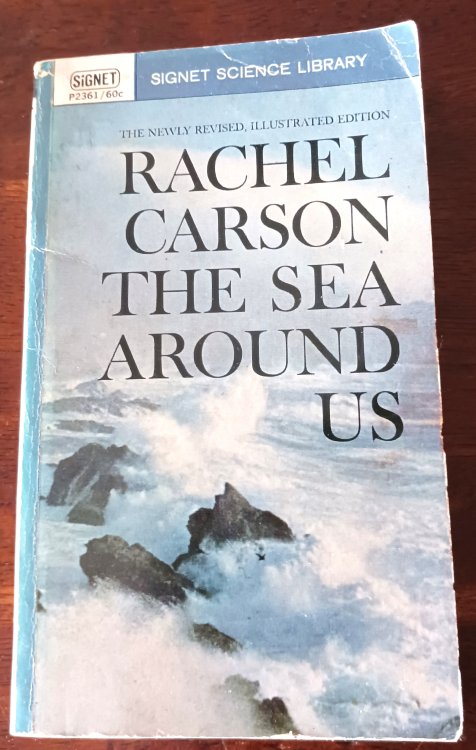 Image for The Sea Around Us (Newly Revised, Illustrated Edition) The Sea Around Us (Newly Revised, Illustrated Edition)