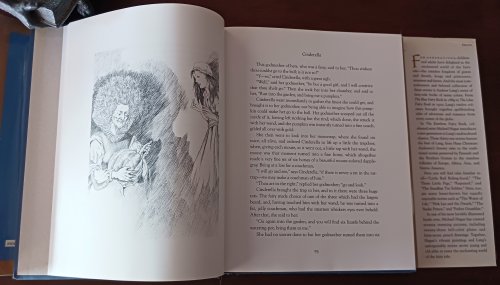 The Rainbow Fairy Book