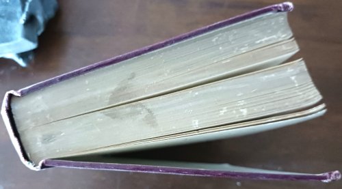 Prostitution in Europe (Publications of the Bureau of Sociel Hygiene)