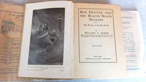 Bob Dexter and the Beacon Beach Mystery or the Wreck of the Sea Hawk (Bob Dexter Mystery Series)