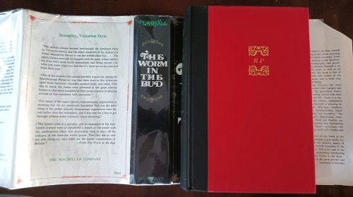 Image for The Worm in the Bud: The World of Victorian Sexuality The Worm in the Bud: The World of Victorian Sexuality