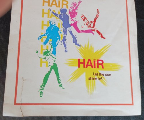 Hair: The American Tribal Love Rock Musical (4 items)