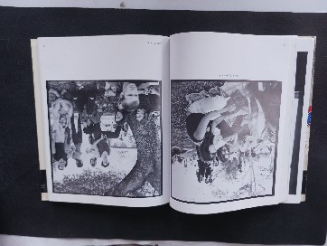 The Flying Saucer Mystery (Nancy Drew Mystery Stories)