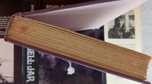 The Bell Jar