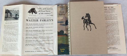 Son of the Black Stallion