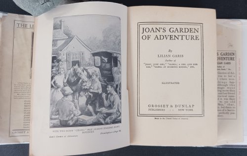 Image for Joan's Garden of Adventure Joan's Garden of Adventure