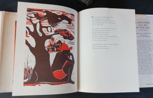 A Crocodile Has Me by the Leg: African Poems