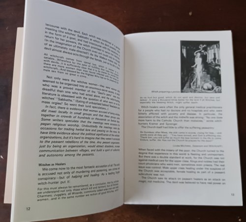 Image for Witches, Midwives, and Nurses: A History of Women Healers Witches, Midwives, and Nurses: A History of Women Healers