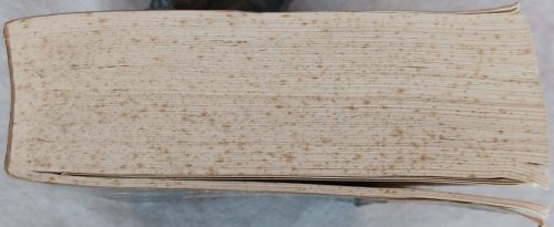 Image for The New Astrology The New Astrology