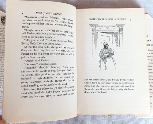 Miss Jimmy Deane: And What Happened at Pleasant Meadows