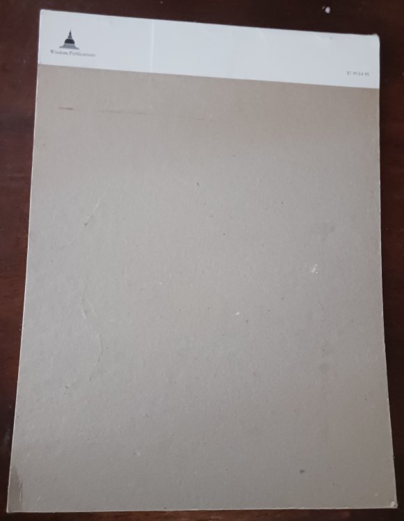 Tara's Colouring Book