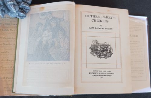 Mother Carey's Chickens