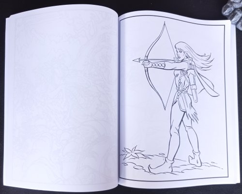 Dungeons & Dragons Coloring Book