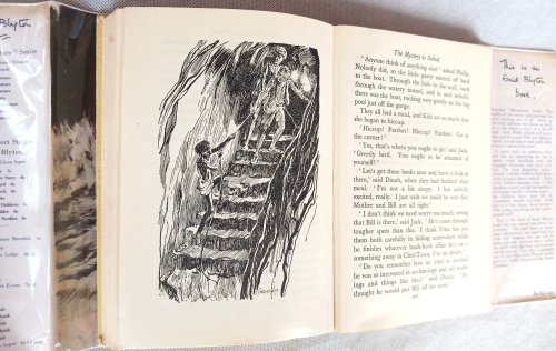 The Mystery of the Invisible Thief (Mystery series)