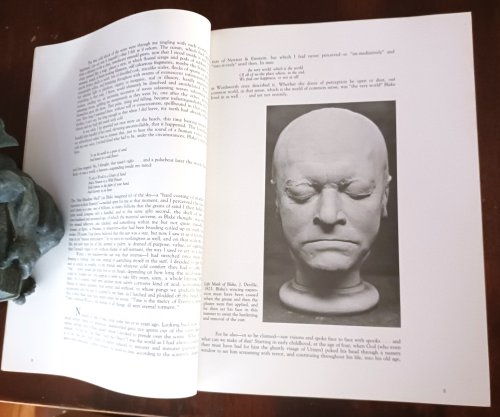 William Blake: The Seer and His Visions