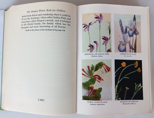 The Burgess Flower Book for Children