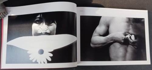 Untitled 42