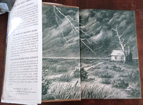 Image for The Riddle of the Stone Elephant (A Ken Holt Mystery) The Riddle of the Stone Elephant (A Ken Holt Mystery)