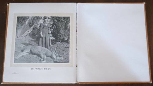 Image for Hoofs, Claws and Antlers of the Rocky Mountains by the Camera Hoofs, Claws and Antlers of the Rocky Mountains by the Camera