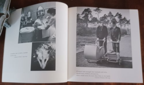 Image for Women, Heroes, and a Frog Women, Heroes, and a Frog