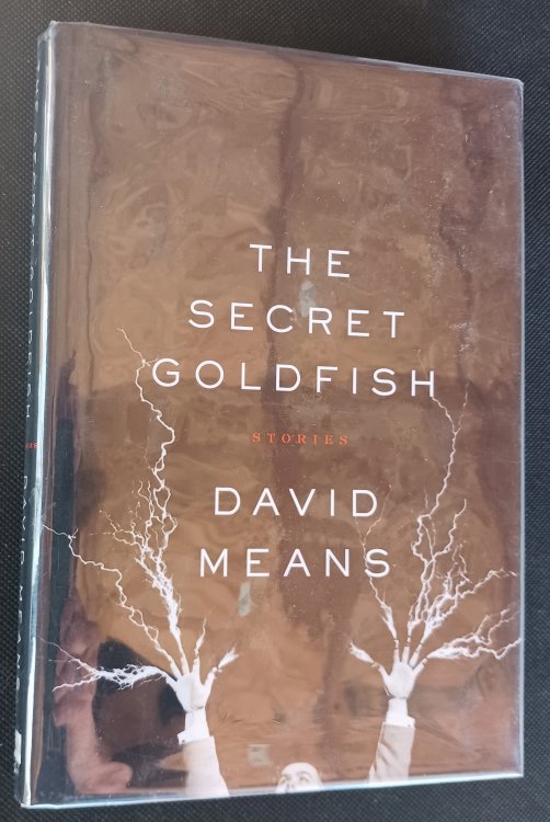 Image for The Secret Goldfish: Stories The Secret Goldfish: Stories