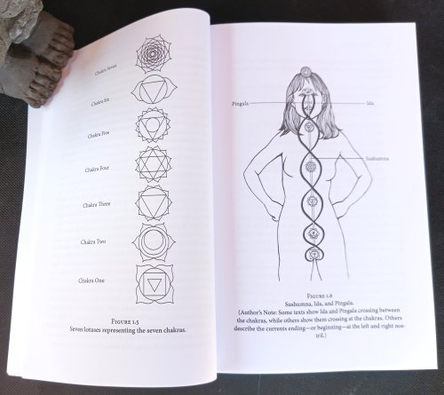 Wheels of Life: A User's Guide to the Chakra System (Llewellyn's New Age)
