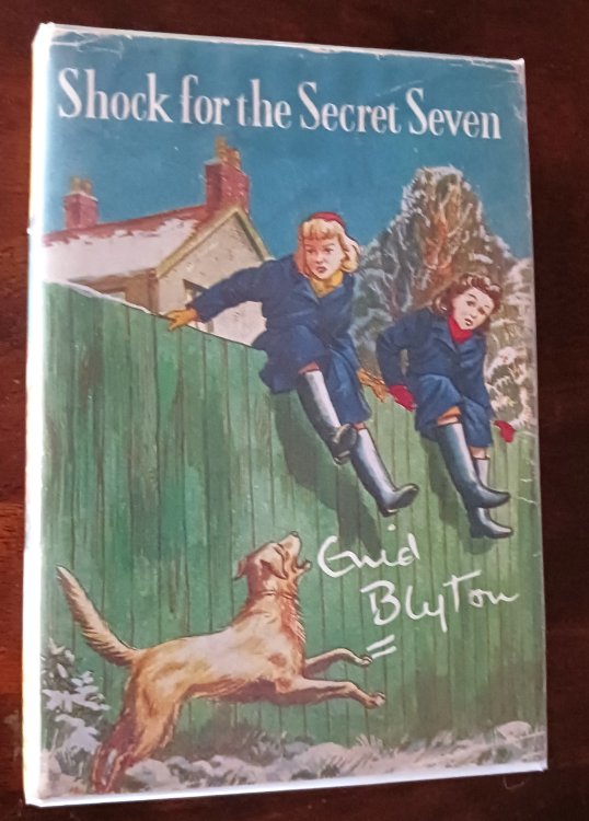 Shock for the Secret Seven