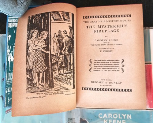 The Mysterious Fireplace (The Dana Girls Mystery Stories)