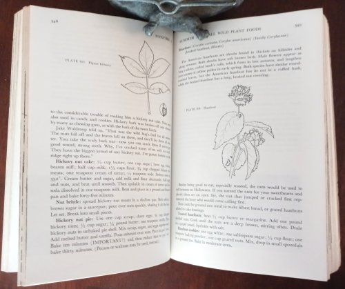 Foxfire 3: Animal Care, Banjos and Dulcimers, Hide Tanning, Summer and Fall Wild Plant Foods, Butter Churns, Ginseng, and Still More Affairs of Plain Living
