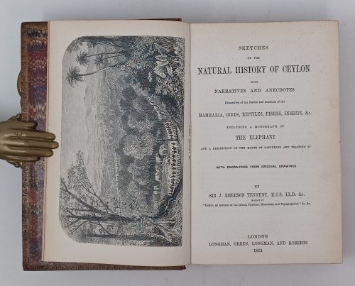 Sketches of the Natural History of Ceylon with Narratives and Anecdotes Illustrative of the Habits and Instincts of the Mammalia, Birds, Reptiles, Fishes, Insects, &c. including a Monograph of the Elephant