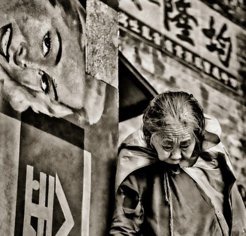 Fan Ho - Photography. My Passion. My Life - (NEW - in publisher's shrink-wrap