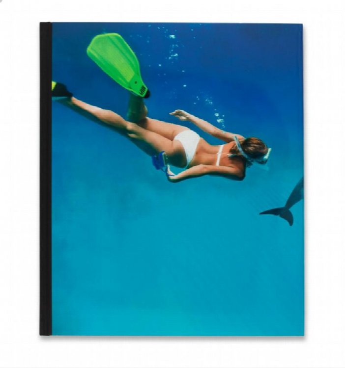 Damien Hirst Fact Paintings and Fact Sculptures