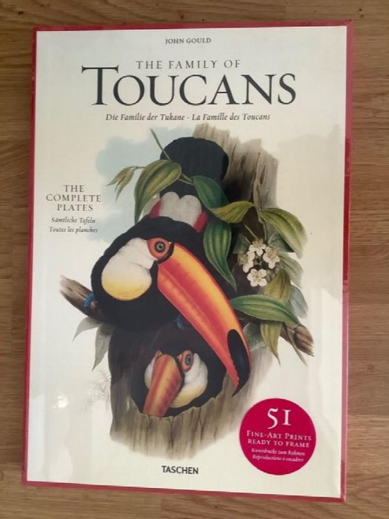 The Family of Toucans