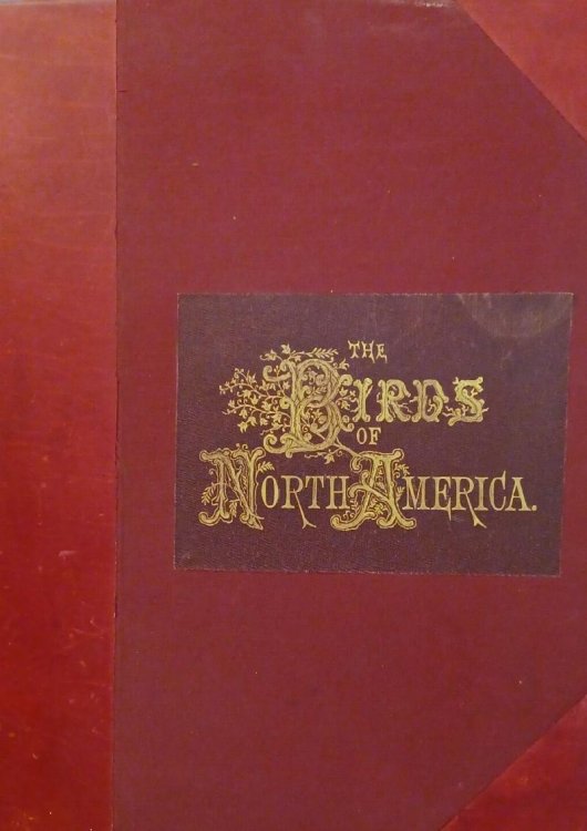 The Birds of North America