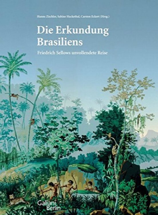 Die Erkundung Brasiliens